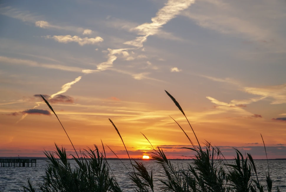 Discover Palacios, TX: An Introduction to the City and its Captivating Weather