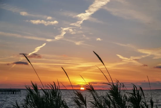 Discover Palacios, TX: An Introduction to the City and its Captivating Weather
